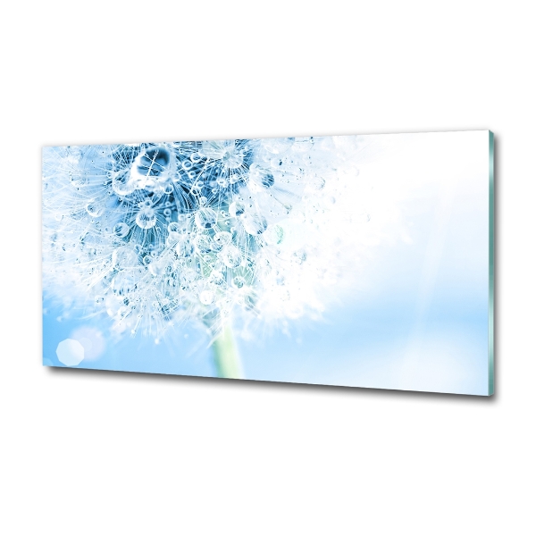 Foto schilderij op glas Paardebloem