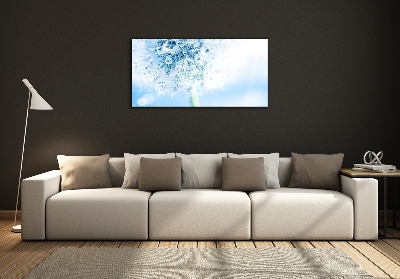 Foto schilderij op glas Paardebloem