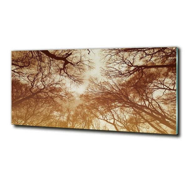 Foto schilderij op glas Woud