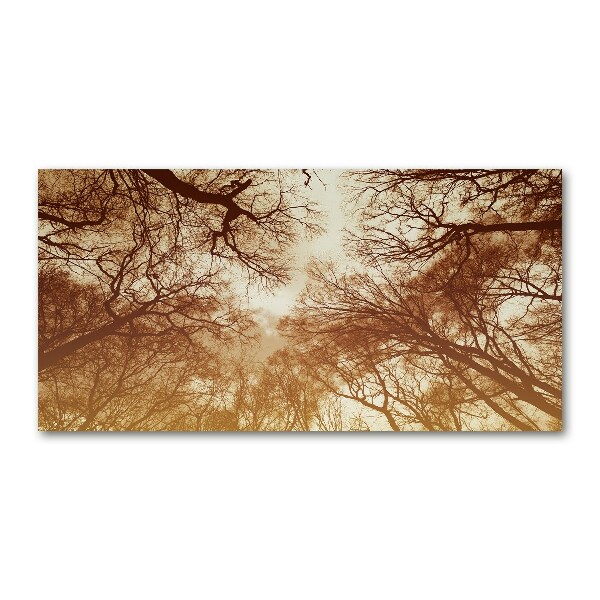 Foto schilderij op glas Woud