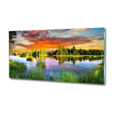 Foto schilderij op glas Rivier in het bos