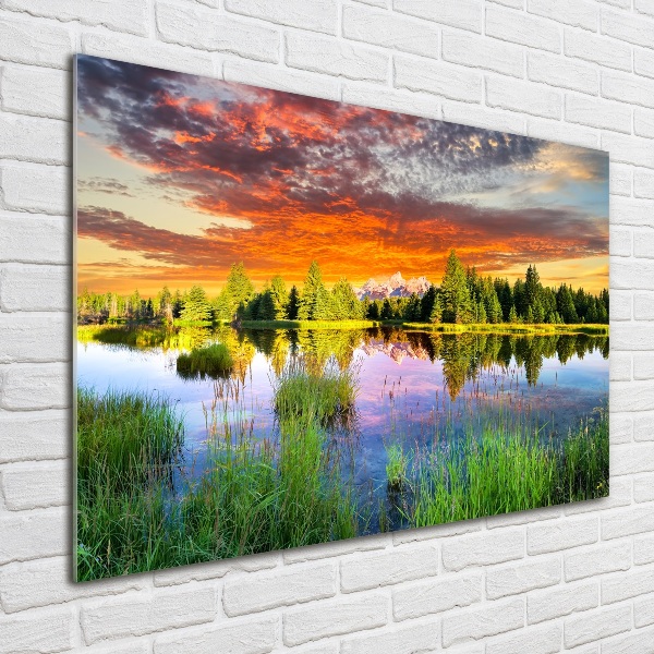 Foto schilderij op glas Rivier in het bos