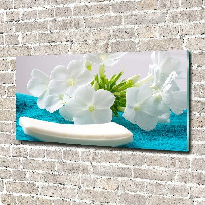 Glazen schilderij Witte spabloemen