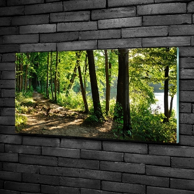 Schilderij op glas Pad in de weide