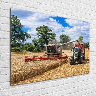 Glazen schilderij Maaidorser en tractor