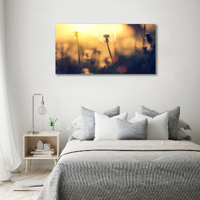 Foto schilderij op glas Paardebloem