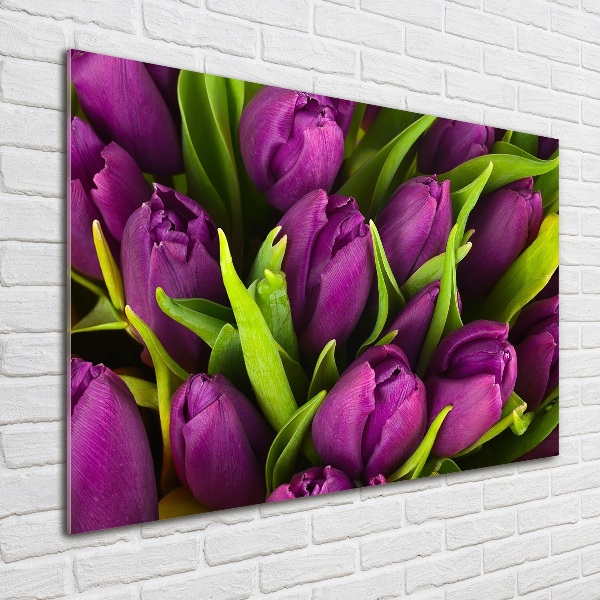 Schilderij glas Paarse tulpen