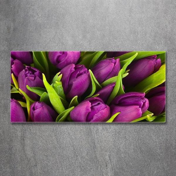 Schilderij glas Paarse tulpen