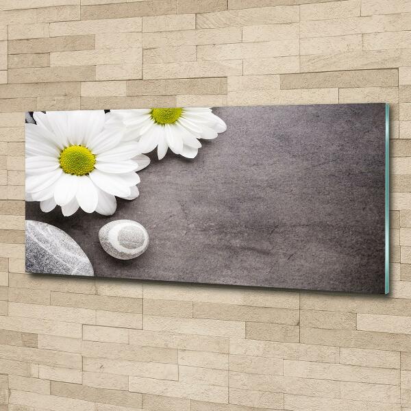 Glazen schilderij Gerbera