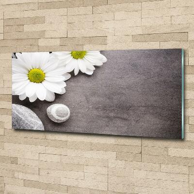 Glazen schilderij Gerbera