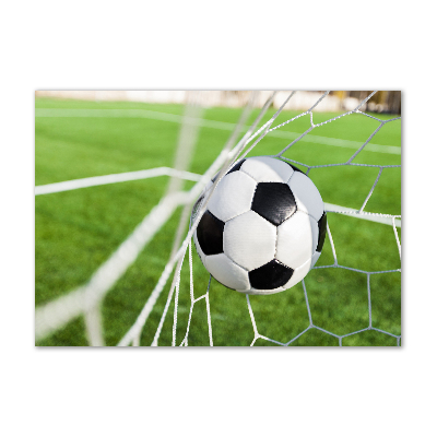 Foto schilderij op glas De bal ligt in het doel.