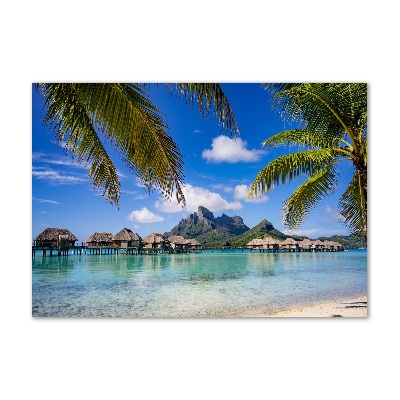 Schilderij glas Palmbomen in Bora Bora