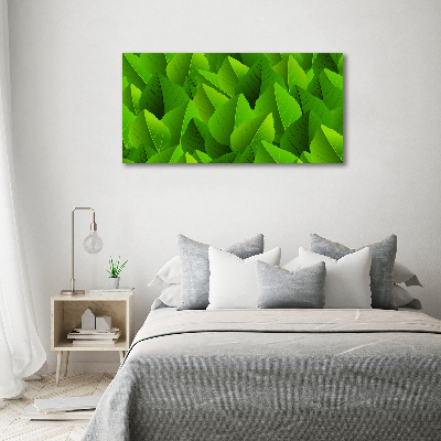 Schilderij glas Groene bladeren