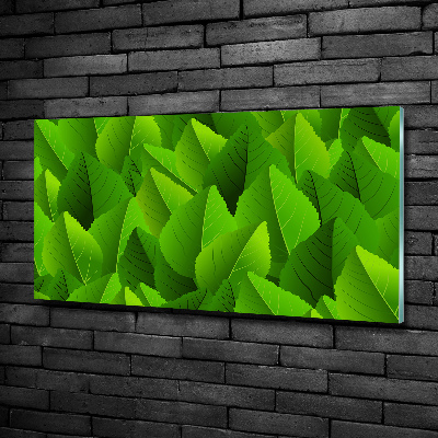 Schilderij glas Groene bladeren