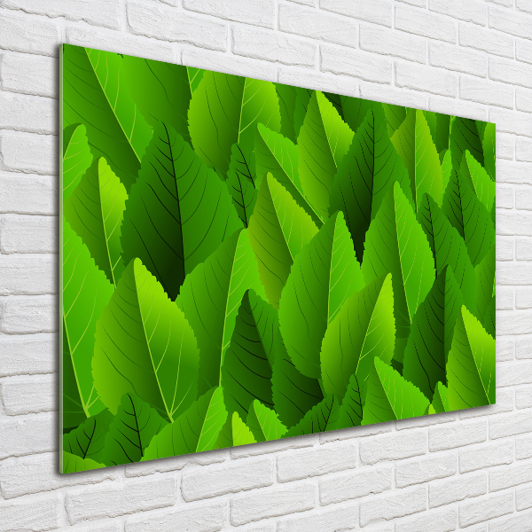 Schilderij glas Groene bladeren