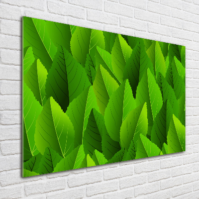 Schilderij glas Groene bladeren