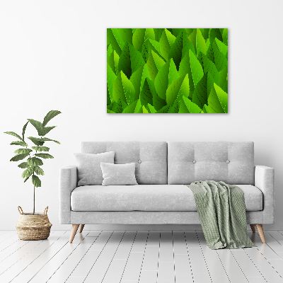Schilderij glas Groene bladeren