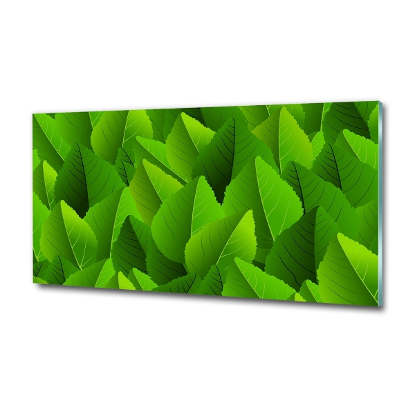 Schilderij glas Groene bladeren