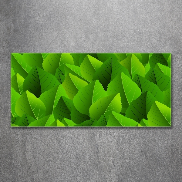 Schilderij glas Groene bladeren