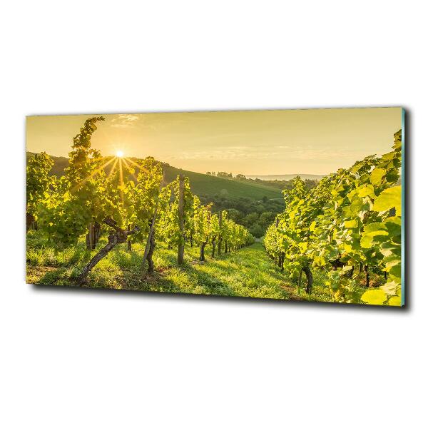 Glazen schilderij Wijngaard