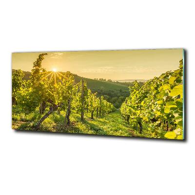 Glazen schilderij Wijngaard