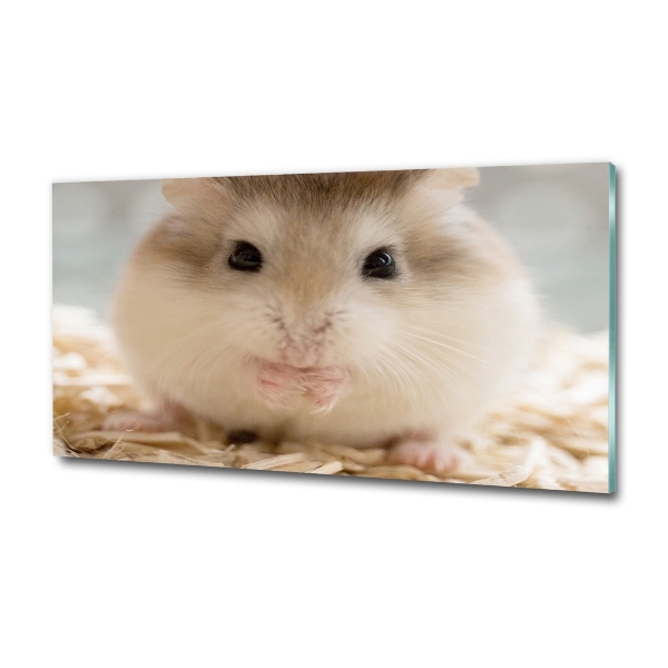 Foto schilderij op glas Hamster