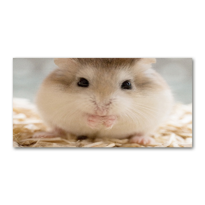 Foto schilderij op glas Hamster