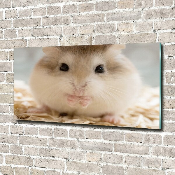 Foto schilderij op glas Hamster