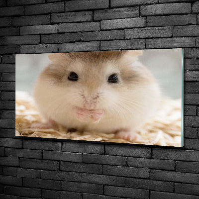 Foto schilderij op glas Hamster