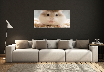 Foto schilderij op glas Hamster