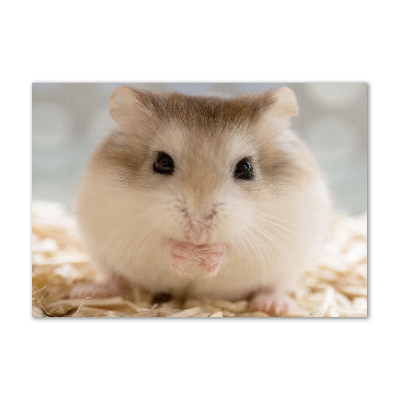 Foto schilderij op glas Hamster