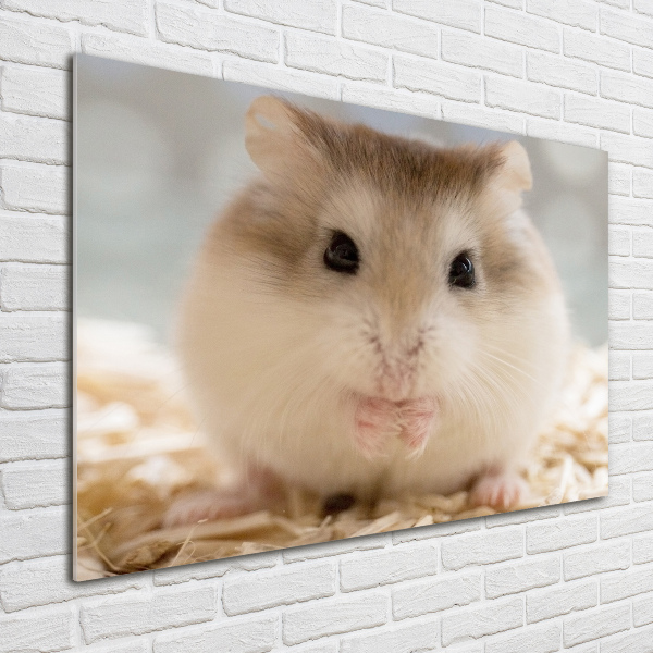 Foto schilderij op glas Hamster