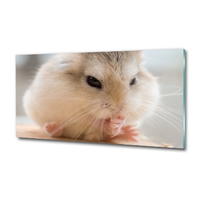 Schilderij op glas Hamster