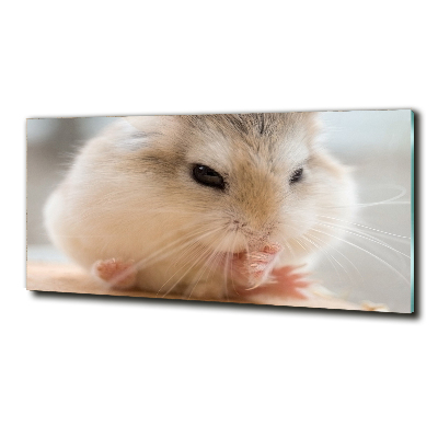 Schilderij op glas Hamster