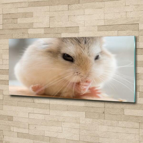 Schilderij op glas Hamster
