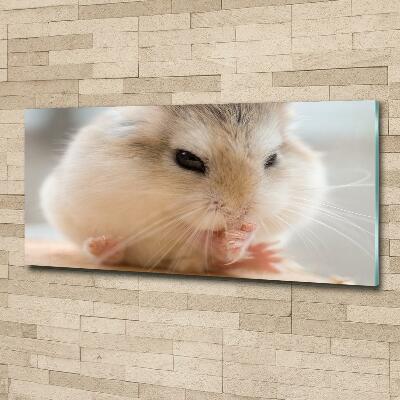 Schilderij op glas Hamster