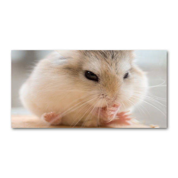 Schilderij op glas Hamster