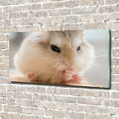 Schilderij op glas Hamster