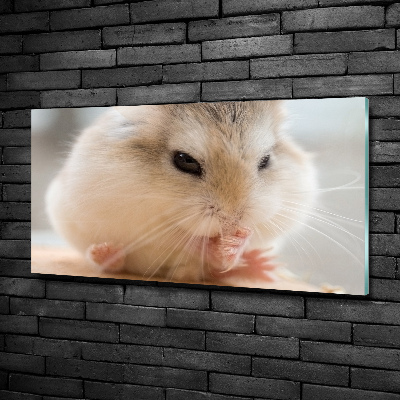 Schilderij op glas Hamster
