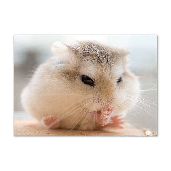 Schilderij op glas Hamster