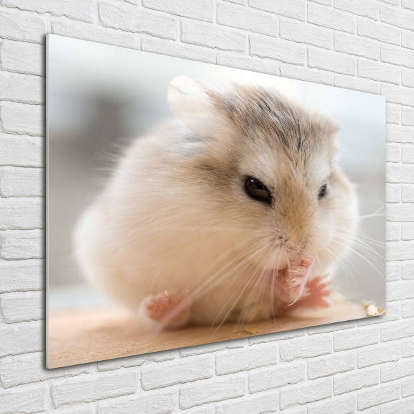 Schilderij op glas Hamster