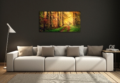 Glazen schilderij Bos in de herfst