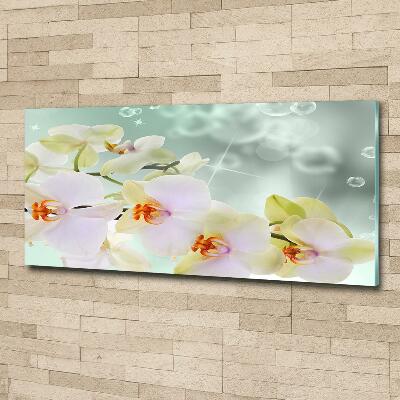 Foto schilderij op glas Witte orchidee