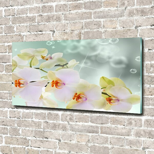 Foto schilderij op glas Witte orchidee