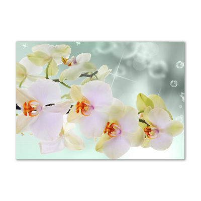 Foto schilderij op glas Witte orchidee