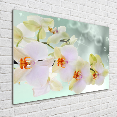Foto schilderij op glas Witte orchidee