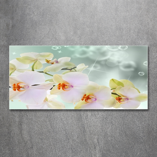 Foto schilderij op glas Witte orchidee