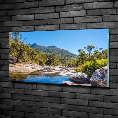 Foto schilderij op glas Rivier in het bos