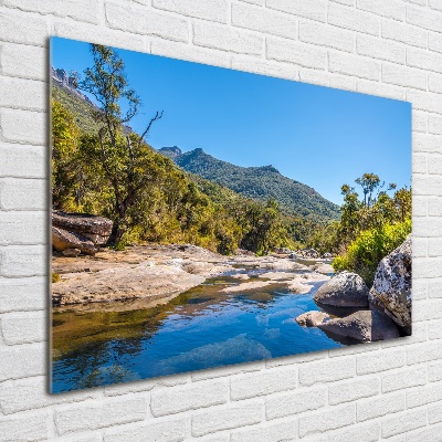 Foto schilderij op glas Rivier in het bos