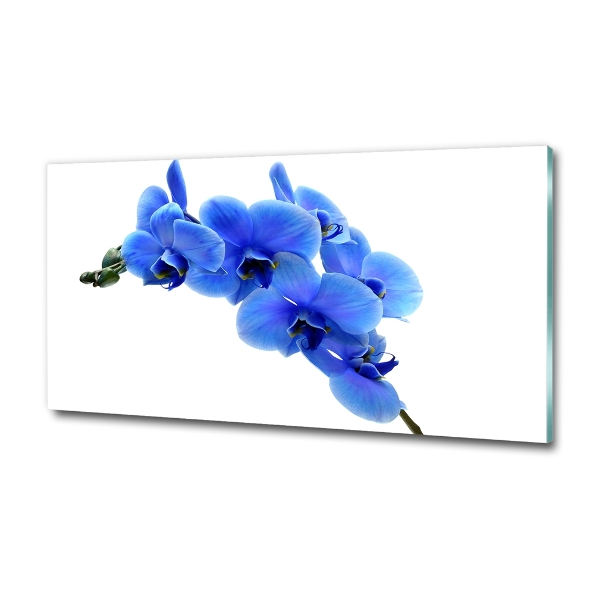 Schilderij op glas Blauwe orchidee